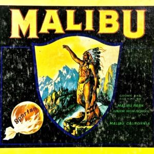 Meet your Posher, Peter